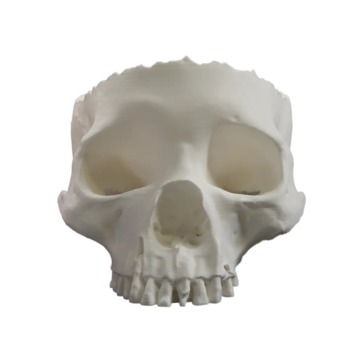 Schädel-Schale für Halloween – Die Ultimative Totenkopf-Deko!