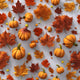 Herbst & Halloween