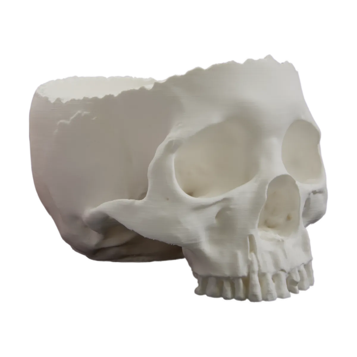 Schädel-Schale für Halloween – Die Ultimative Totenkopf-Deko!