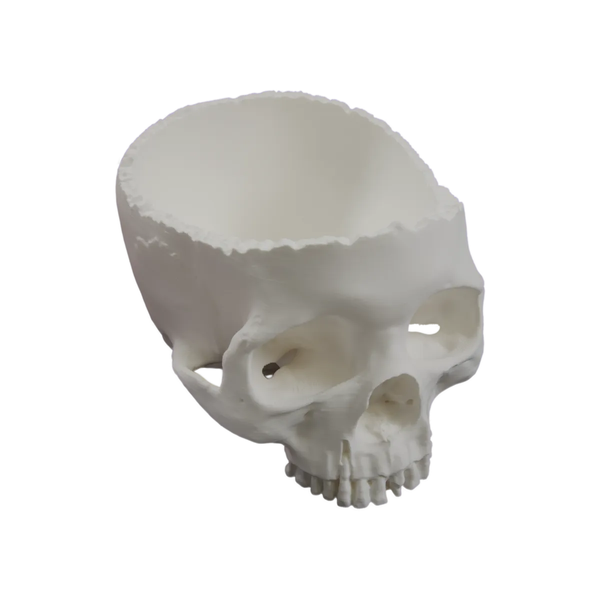 Schädel-Schale für Halloween – Die Ultimative Totenkopf-Deko!